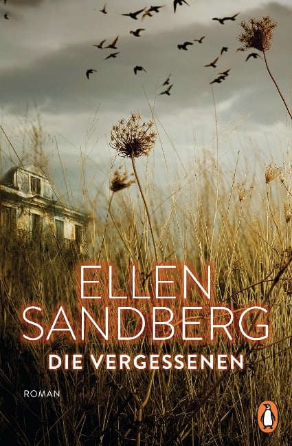 Die Vergessenen - Ellen Sandberg