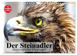 Cover-Bild zum Titel 'Der Steinadler. Majestätischer Greifvogel (Wandkalender 2026 DIN A4 quer), CALVENDO Monatskalender' von 'Elisabeth Stanzer'