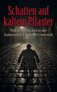 Cover-Bild zum Titel 'Schatten auf kaltem Pflaster' von 'Heinrich Adler'