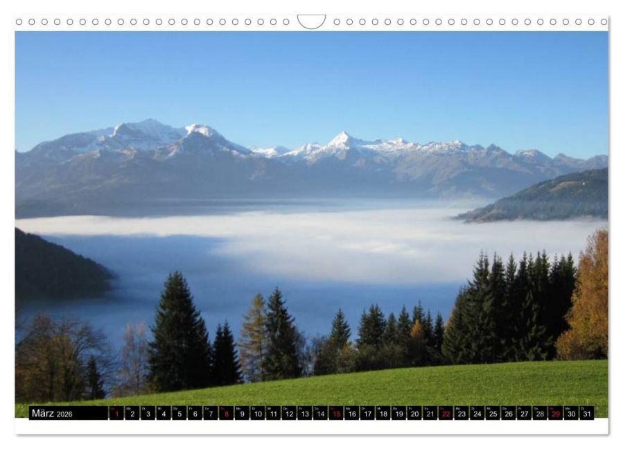 InsideView 8