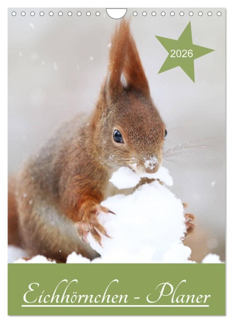 Eichhörnchen - Planer (Wandkalender 2026 DIN A4 hoch), CALVENDO Monatskalender - Birgit Cerny