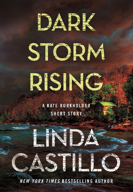 Dark Storm Rising - Linda Castillo