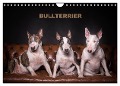 Bullterrier (Wandkalender 2025 DIN A4 quer), CALVENDO Monatskalender - Sven Schubert