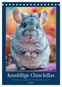 Cover-Bild zum Titel 'Knuddlige Chinchillas (Tischkalender 2026 DIN A5 hoch), CALVENDO Monatskalender' von 'Kerstin Waurick'