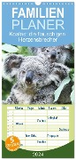 Familienplaner 2024 - Koalas: die flauschigen Herzensbrecher mit 5 Spalten (Wandkalender, 21 x 45 cm) CALVENDO - Calvendo Calvendo