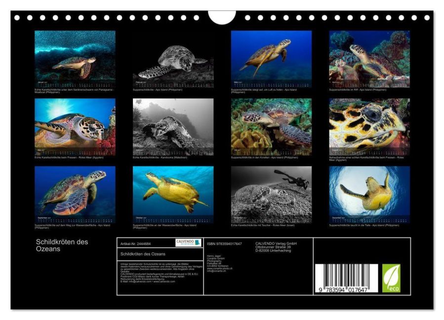 InsideView 5