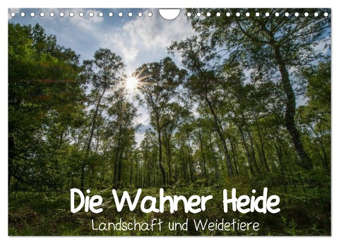 Die Wahner Heide - Landschaft und Weidetiere (Wandkalender 2024 DIN A4 quer), CALVENDO Monatskalender - Doro Peeh