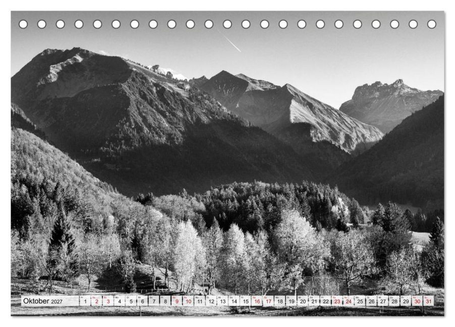 InsideView 2
