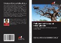 Cover-Bild zum Titel 'Religione africana ed etica globale' von 'Salamata Micheline Ilboudo Diallo'