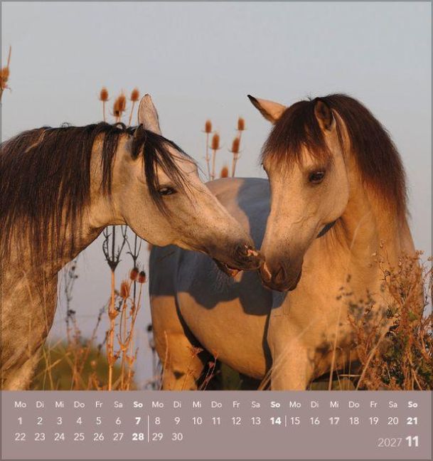 InsideView 11