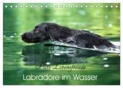 Labradore im Wasser (Tischkalender 2025 DIN A5 quer), CALVENDO Monatskalender - Cornelia Strunz