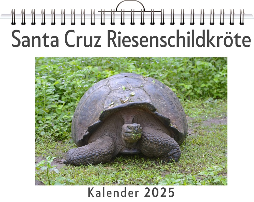 Santa Cruz Riesenschildkröte - Leon Maier