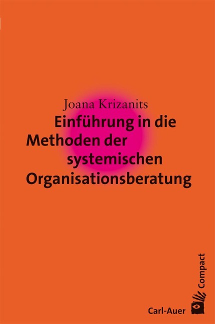 Einführung in die Methoden der systemischen Organisationsberatung - Joana Krizanits