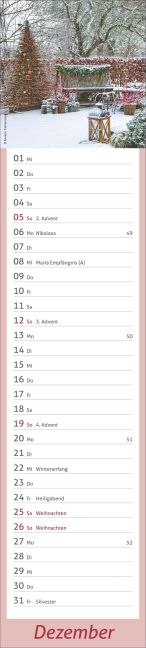 InsideView 12