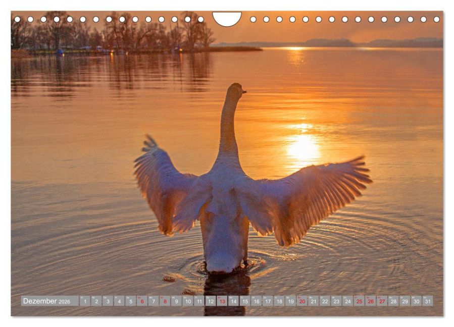 InsideView 4