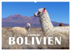 Cover-Bild zum Titel 'Entdecke Bolivien (Wandkalender 2026 DIN A2 quer), CALVENDO Monatskalender' von 'Askson Vargard'