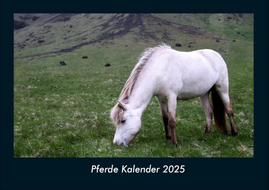 Pferde Kalender 2025 Fotokalender DIN A4 - Tobias Becker