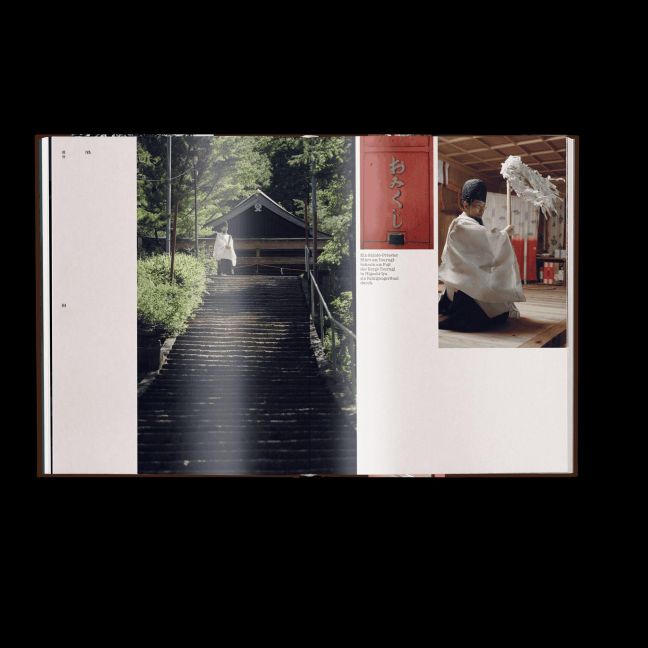 InsideView 4