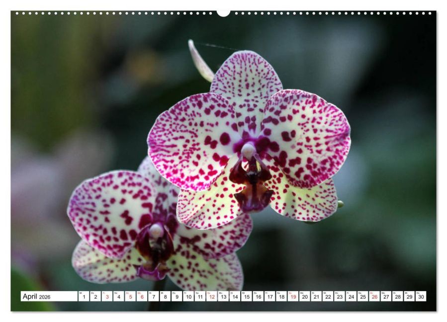 InsideView 9