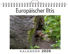 Cover-Bild zum Titel 'Europäischer Iltis' von 'Emilia Hartmann'
