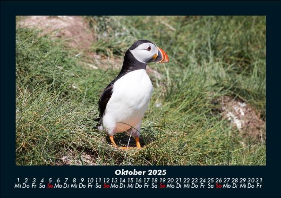 InsideView 2