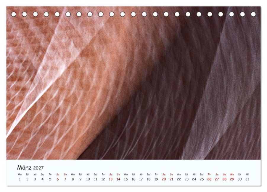 InsideView 8
