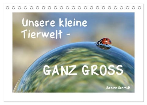 Unsere kleine Tierwelt - GANZ GROSS (Tischkalender 2025 DIN A5 quer), CALVENDO Monatskalender - Sabine Schmidt