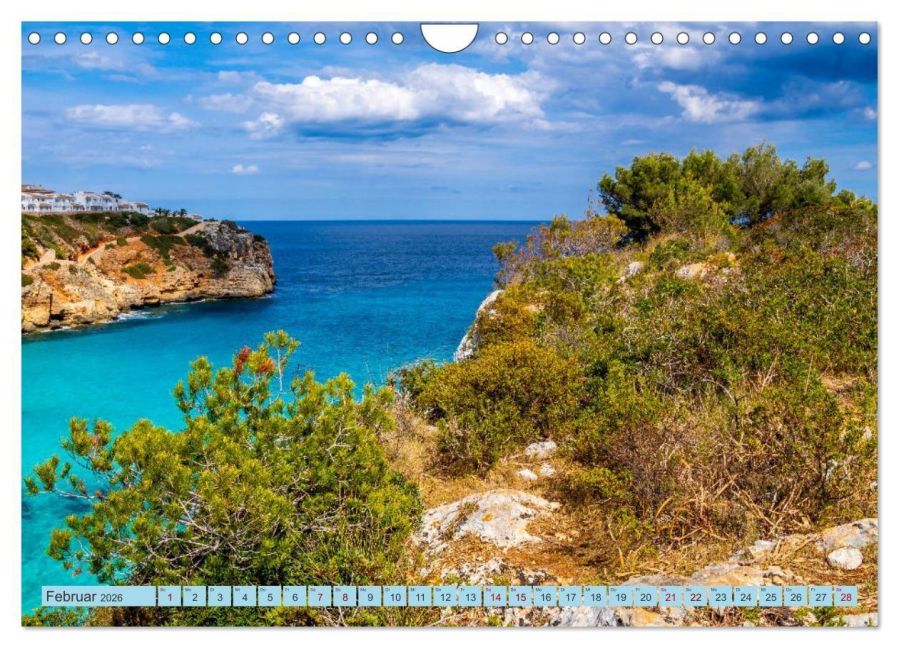 InsideView 7