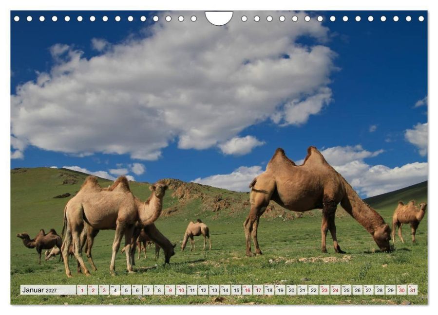 InsideView 6