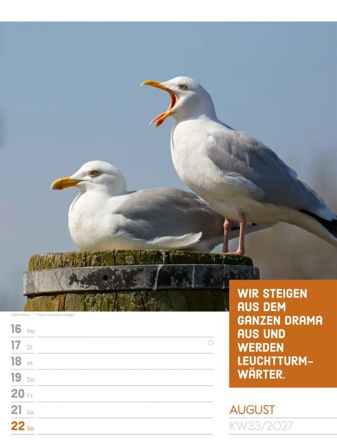 InsideView 37