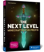 Cover-Bild zum Titel 'The Next Level' von 'Tobias Sumpfhütter'