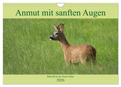 Anmut mit sanften Augen - Rehwild in der freien Natur (Wandkalender 2026 DIN A4 quer), CALVENDO Monatskalender - Sabine Grahneis