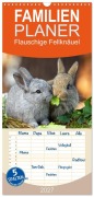 Cover-Bild zum Titel 'Familienplaner 2027 - Flauschige Fellknäuel mit 5 Spalten (Wandkalender, 21 x 45 cm) CALVENDO' von 'Tina Olbrich'