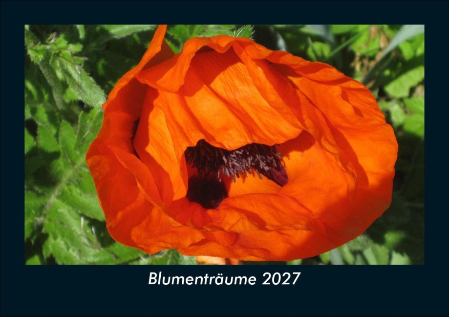 Blumenträume 2027 Fotokalender DIN A5 - Tobias Schmitt, Kevin Heber