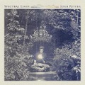 Cover-Bild zum Titel 'Spectral Lines' von 'Josh Ritter'