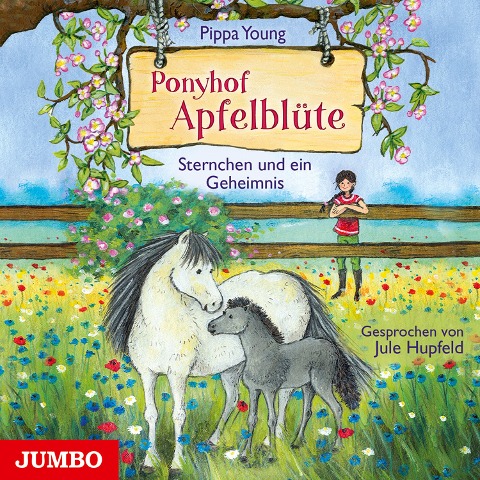 Ponyhof Apfelblüte. Sternchen und ein Geheimnis [Band 7] - Pippa Young