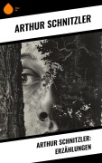 Cover-Bild zum Titel 'Arthur Schnitzler: Erzählungen' von 'Arthur Schnitzler'