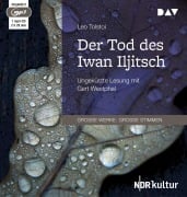 Cover-Bild zum Titel 'Der Tod des Iwan Iljitsch' von 'Leo Tolstoi'