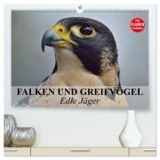 Falken und Greifvögel - Edle Jäger (hochwertiger Premium Wandkalender 2026 DIN A2 quer), Kunstdruck in Hochglanz - Elisabeth Stanzer