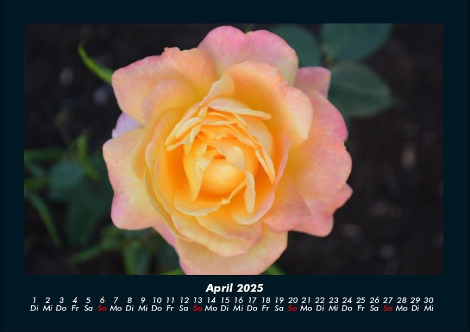 InsideView 8