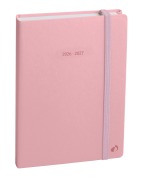 Cover-Bild zum Titel 'Schülerkalender FORUM Pastell rosa 2026 / 2027' von ''