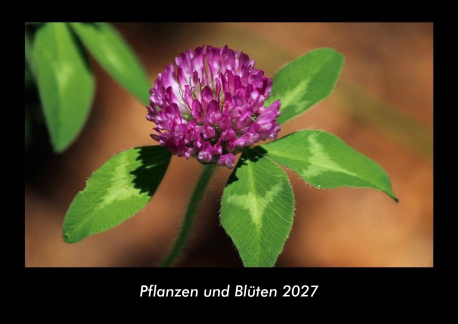 Pflanzen und Blüten 2027 Fotokalender DIN A3 - Tobias Becker