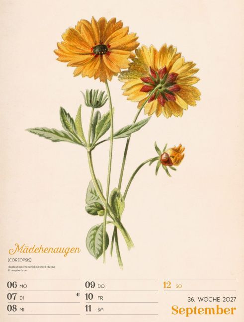 InsideView 40