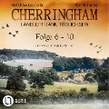 Cover-Bild zum Titel 'Folge 6-10' von 'Matthew Costello, Neil Richards'