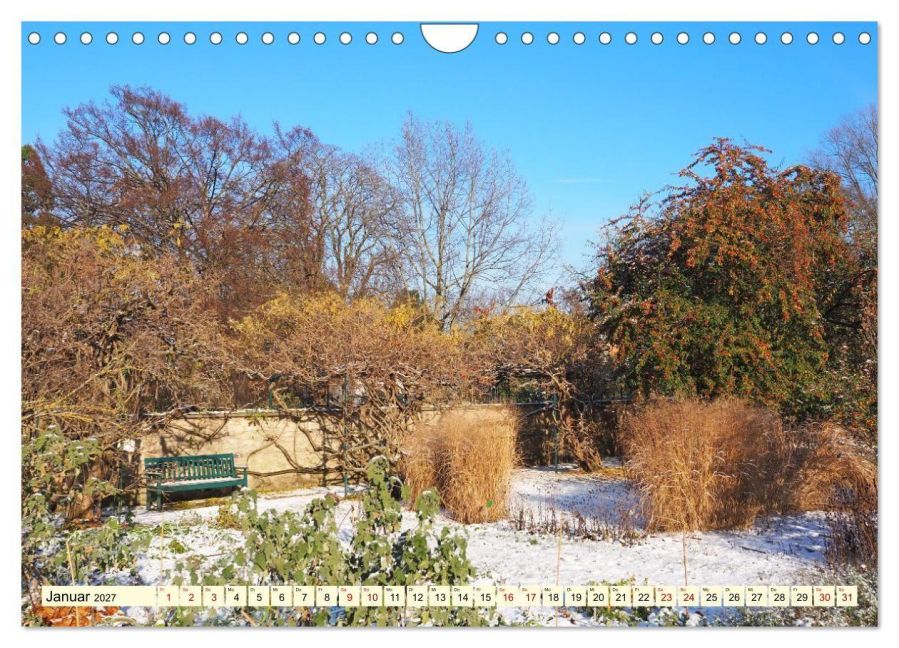 InsideView 6
