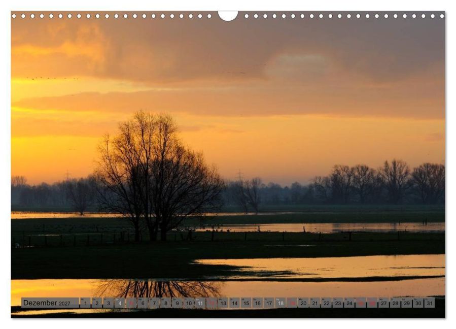InsideView 4