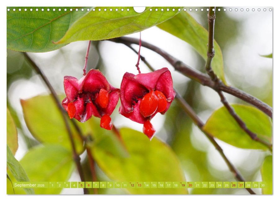InsideView 14