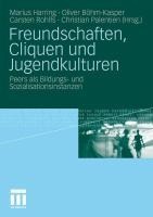 Freundschaften, Cliquen und Jugendkulturen - 