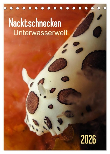 Nacktschnecken - Unterwasserwelt 2026 (Tischkalender 2026 DIN A5 hoch), CALVENDO Monatskalender - Claudia Weber-Gebert