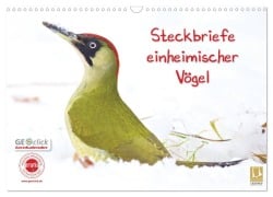 Cover-Bild zum Titel 'Steckbriefe einheimischer Vögel (Wandkalender 2026 DIN A3 quer), CALVENDO Monatskalender' von 'Klaus Feske'